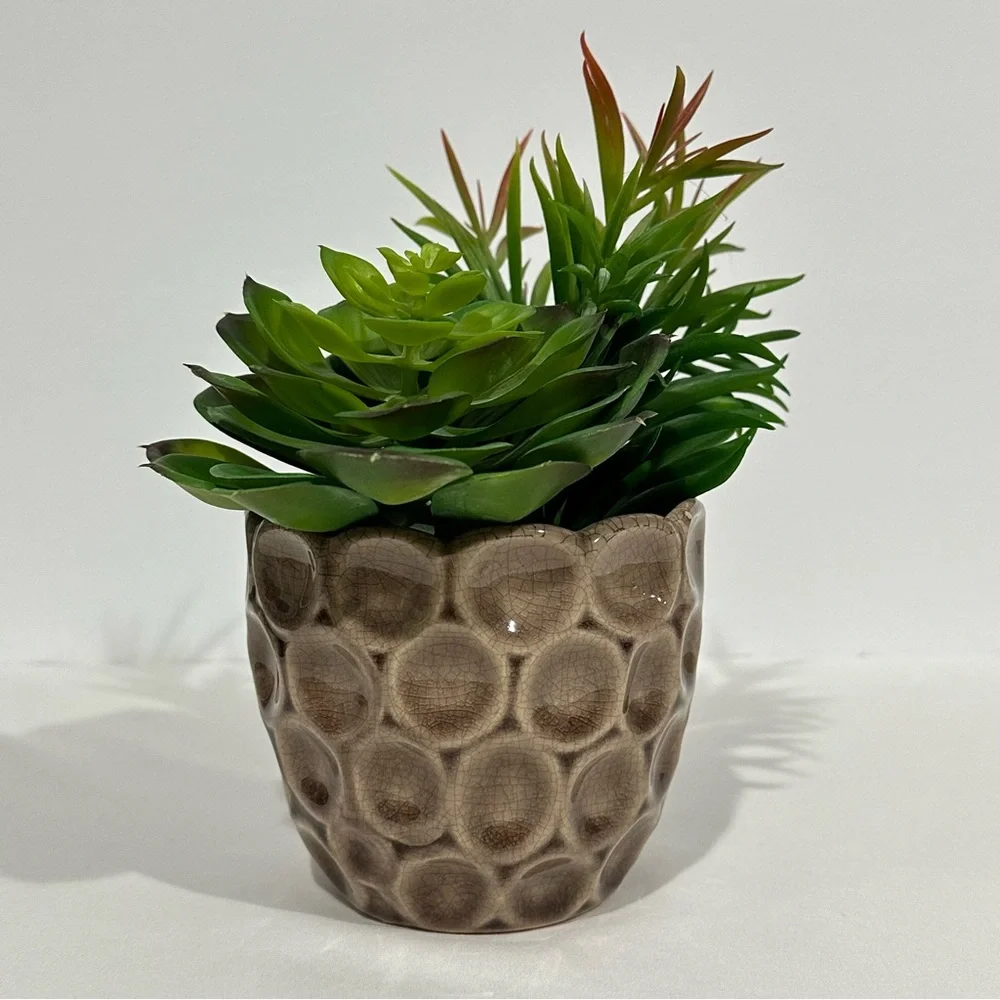 Ceramic Potted Faux Succulents Artificial Plant Decor